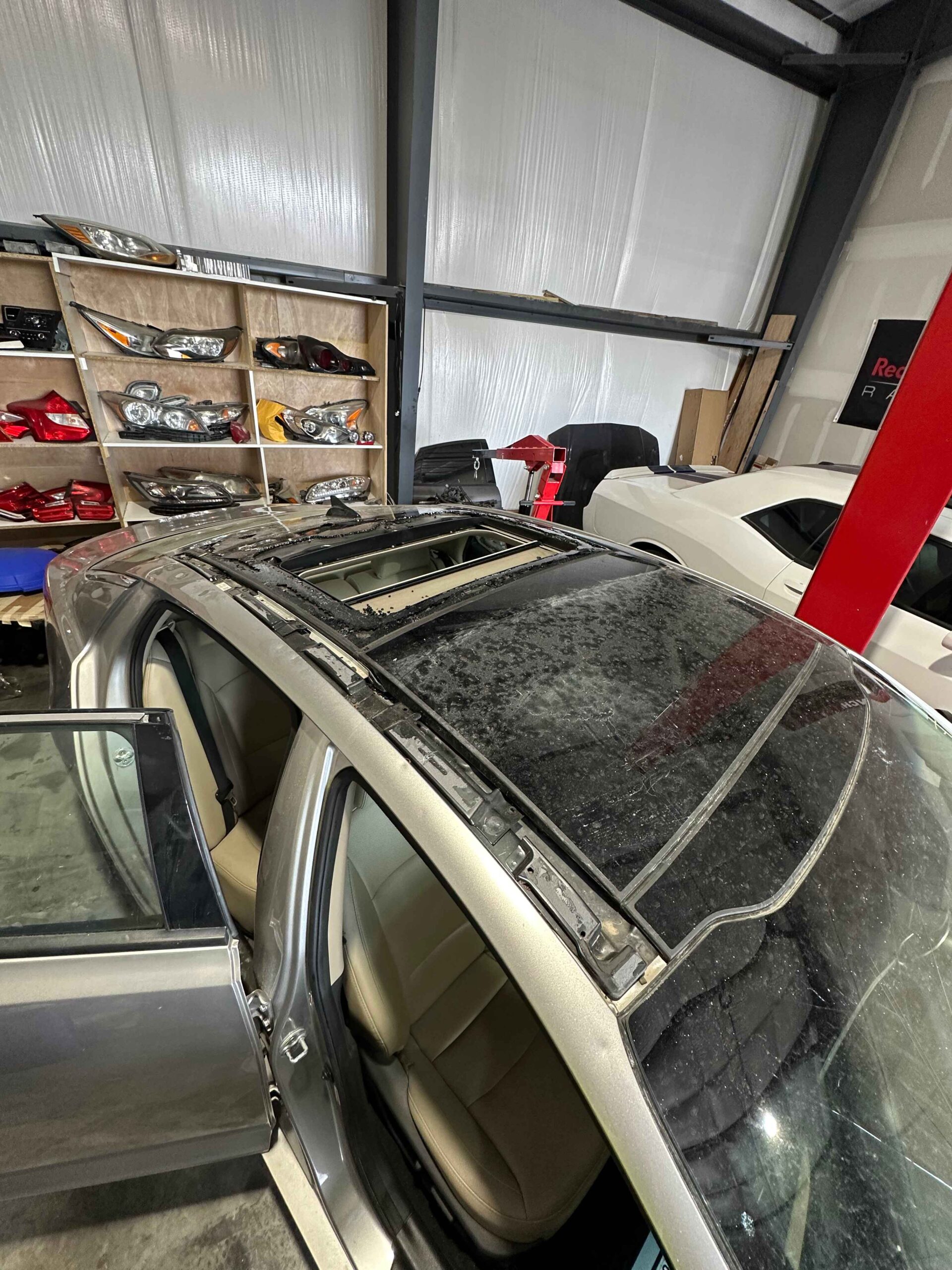 223A848C-52D5-400A-BA66-234B7BDF3724 (1)