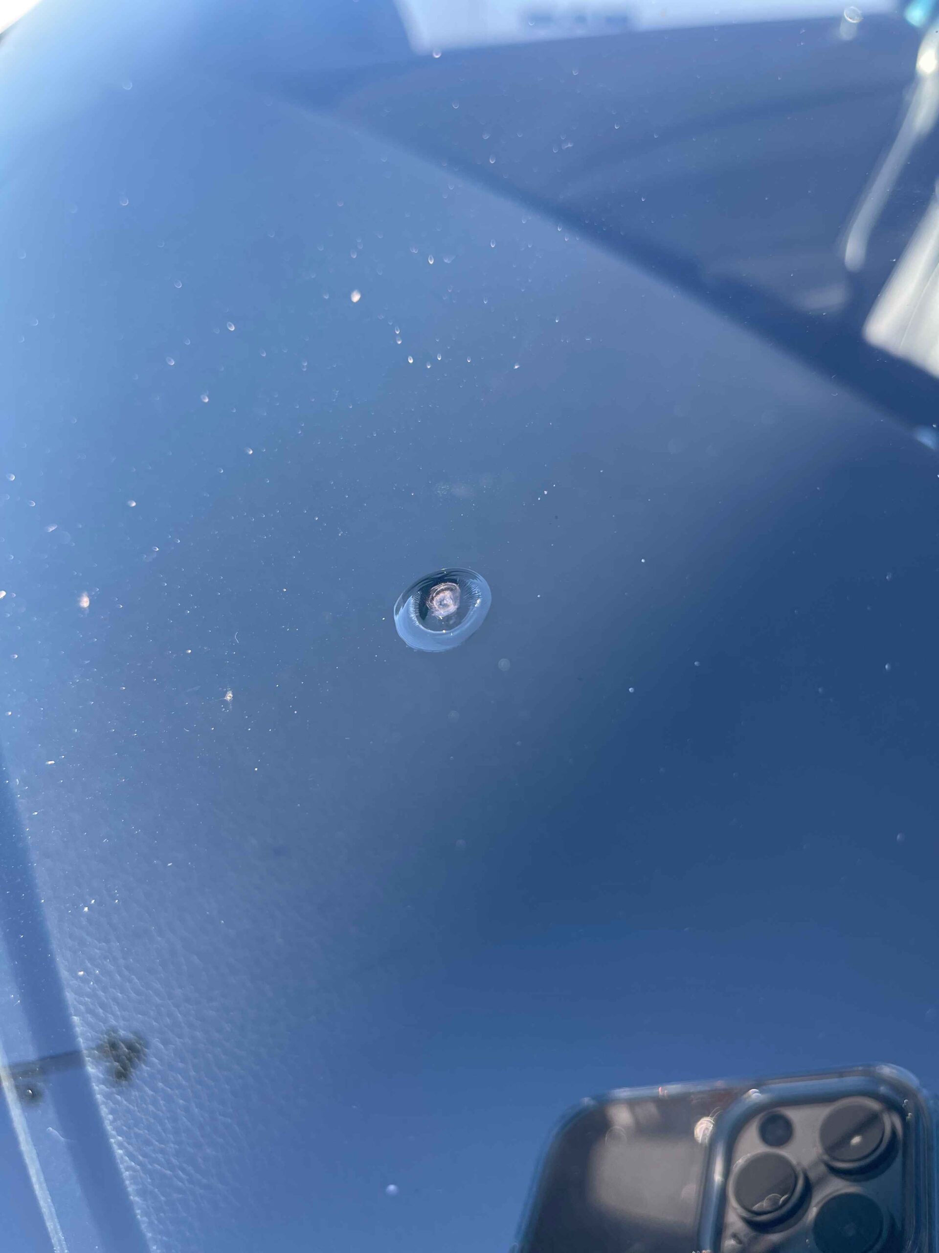 BBC6AF20-527A-4F8F-8F2F-AA2C5067B077 (1)